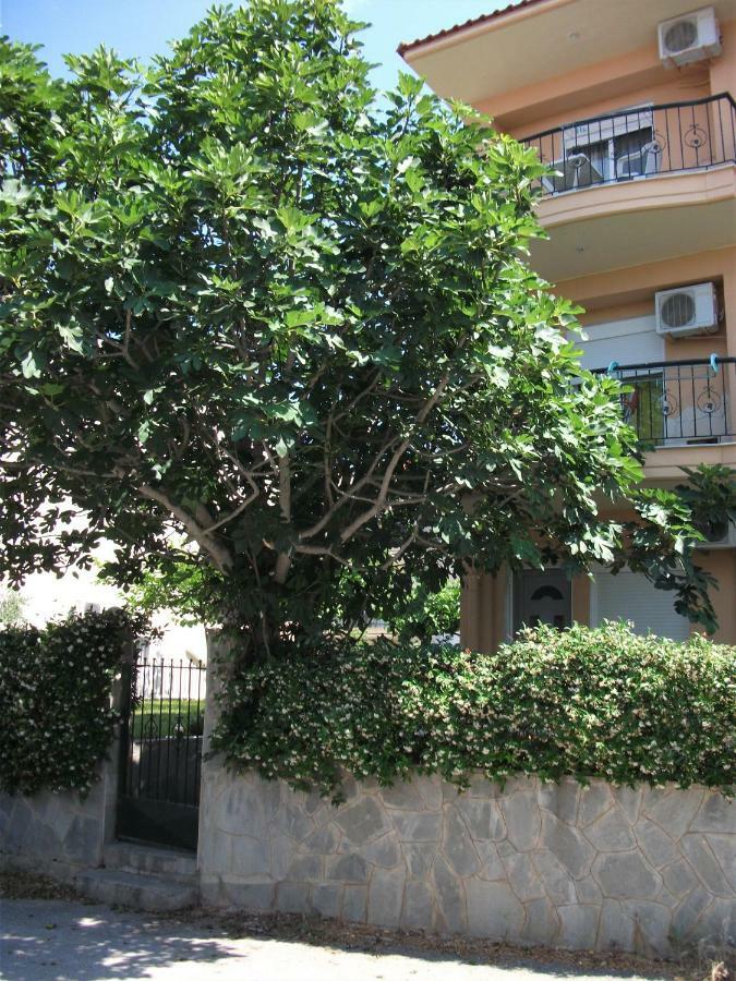 Fani House Kallithea (Chalkidiki) Exterior foto